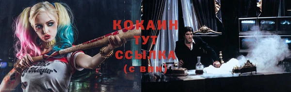 шишки Баксан