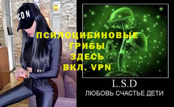 шишки Баксан