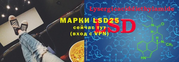 шишки Баксан