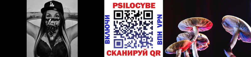 Купить где  Красково  Псилоцибиновые грибы GOLDEN TEACHER 